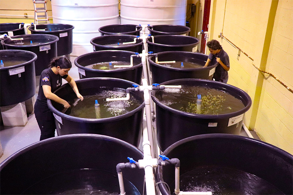 Facility-Tanks-1000